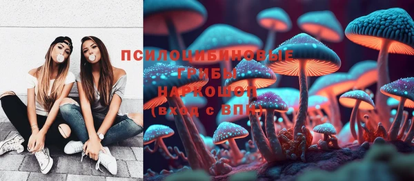 спиды Алексеевка