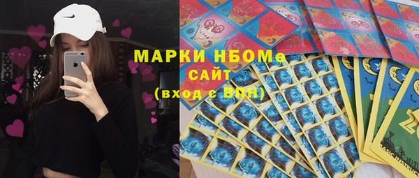 хмурый Липки