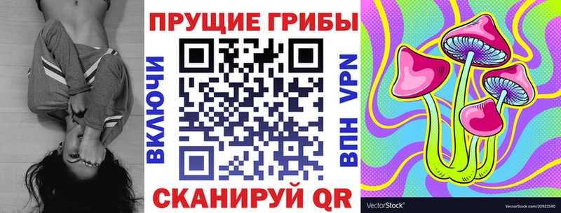 Галлюциногенные грибы Psilocybine cubensis  Александровск-Сахалинский 