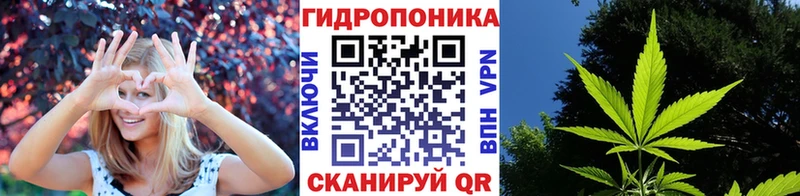 Конопля LSD WEED  ОМГ ОМГ ССЫЛКА  Александровск-Сахалинский  купить  
